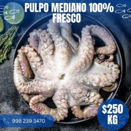 Pulpo fresco